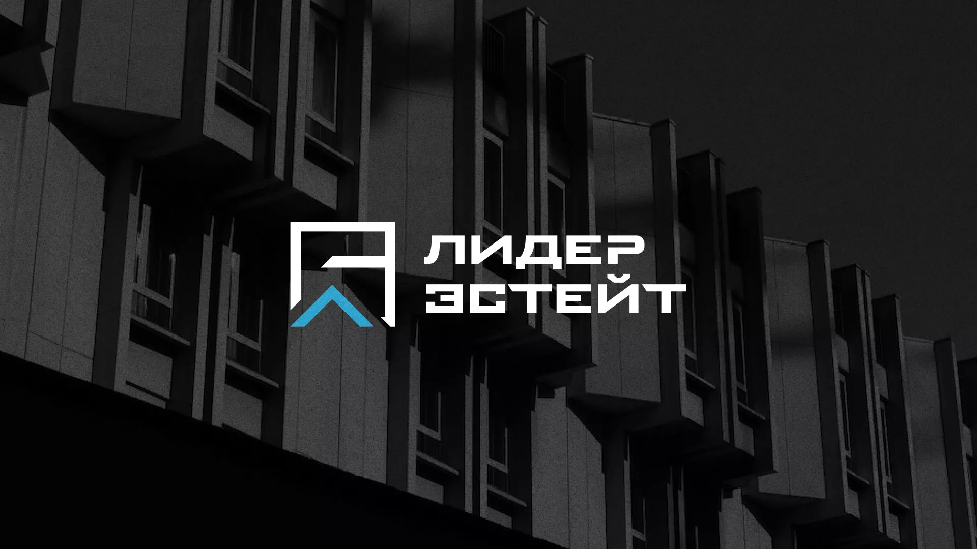 Разработка логотипа агентства недвижимости «Лидер Эстейт» в Воротынске